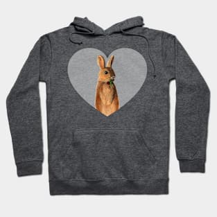 Cute bunny/rabbit eating clover Hoodie